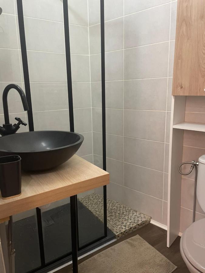 Appartement Cosy En Hyper Centre Toulouse Kültér fotó